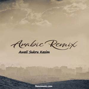remix sukru kesim aweli