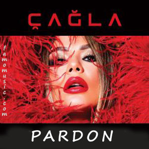 music sinan akcil cagla pardon