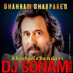 ریمیکس شهرام شب پره خوشگل بندر